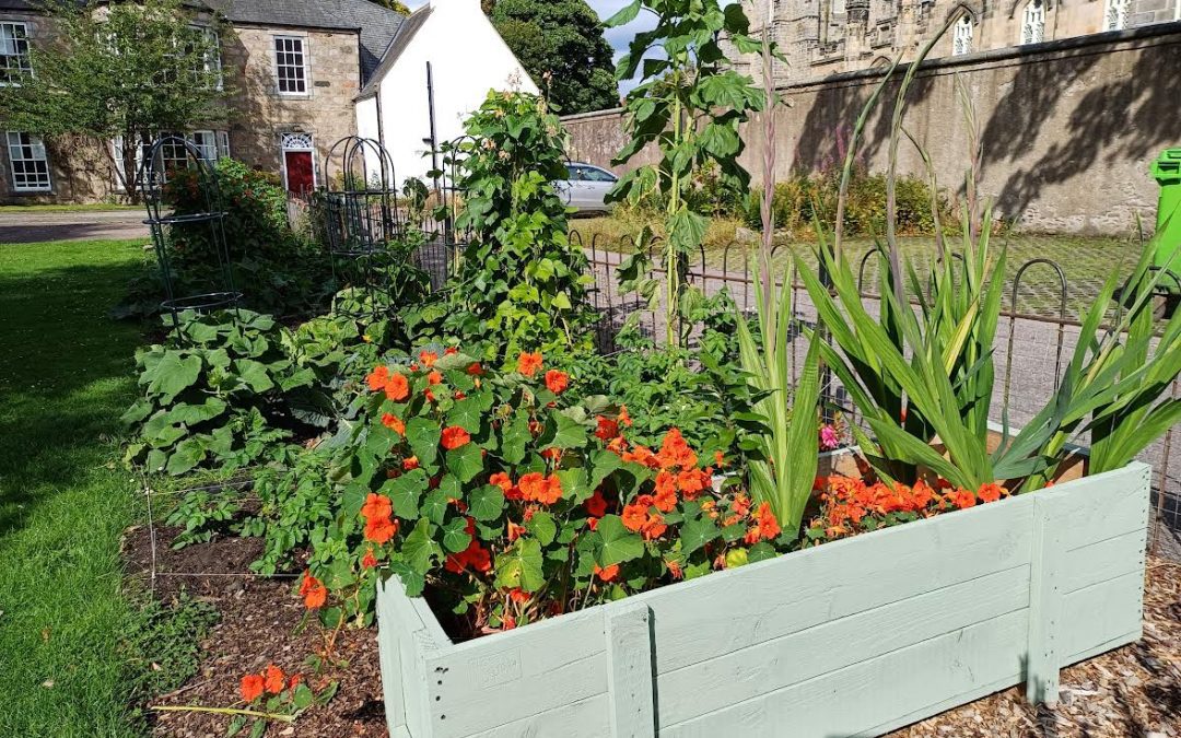 Staff Garden – University of Aberdeen